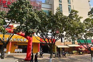 小白羊西環南路超市 珠寶首飾選購指南